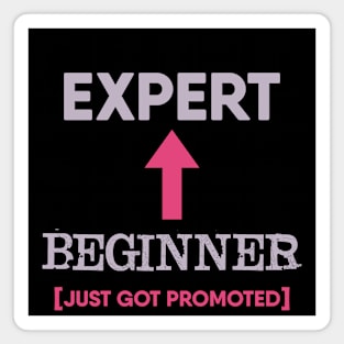 Beginner to expert just got promoted Magnet